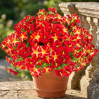 Daynight Faux Petunias Artificial Flowers Plants for Outdoor Plant Decoration,Fake Petunias Realistic Silk Flowers for Porch Yard Garden Window Indoor Decor. (16, Red)