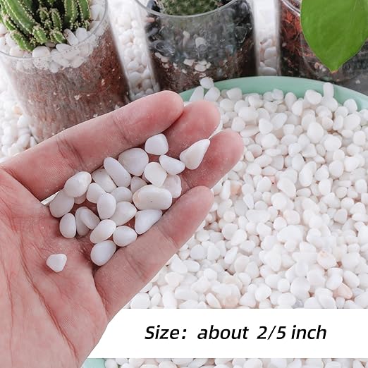 2.4lb 1/4" Small White Rocks for Plants,Potting,Succulents Aquarium Fish Tank Garden Vases Decorative Pebbles Gravel Rocks Stones