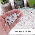 2.4lb 1/4" Small White Rocks for Plants,Potting,Succulents Aquarium Fish Tank Garden Vases Decorative Pebbles Gravel Rocks Stones