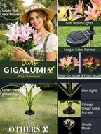 GIGALUMI Solar Garden Lights, 2 Pack LED Lily Garden Decor Carefree Solar Flowers Outdoor Waterproof, Yard Decorations Outdoor, Allergy-Free Light up Flowers for Yard Patio (1White,1Pink)