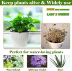 3 Packs 6.5 Inches Self Watering Pots for Indoor Plants Large Plastic African Violet Pots Home Flower Pot Planters for Devil's Ivy, Spider Plant, White