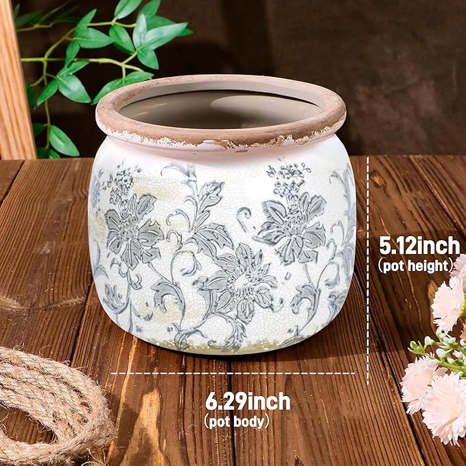 Dosayes Ceramic Pot for Planter, Vintage Flower Pot with Drainage Holes, 6.29 inch Ice Crack Glazed Indoor Planters Pot (Old World)