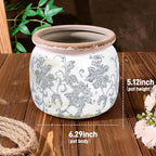 Dosayes Ceramic Pot for Planter, Vintage Flower Pot with Drainage Holes, 6.29 inch Ice Crack Glazed Indoor Planters Pot (Old World)