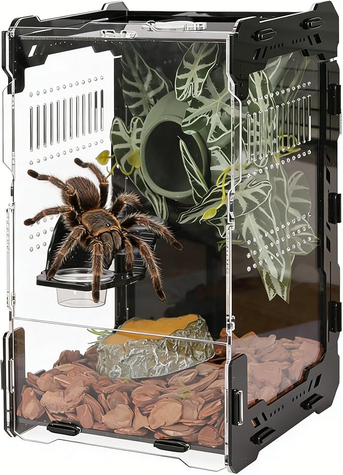 Jumping Spider Enclosure - 3mm Black Transparent Acrylic Terrarium for Tarantulas, Mantises & Frogs, 11.8x5.9x5.9 Inch Mechanical Frame Habitat with Magnetic Feeding Hole & Rotating Lock