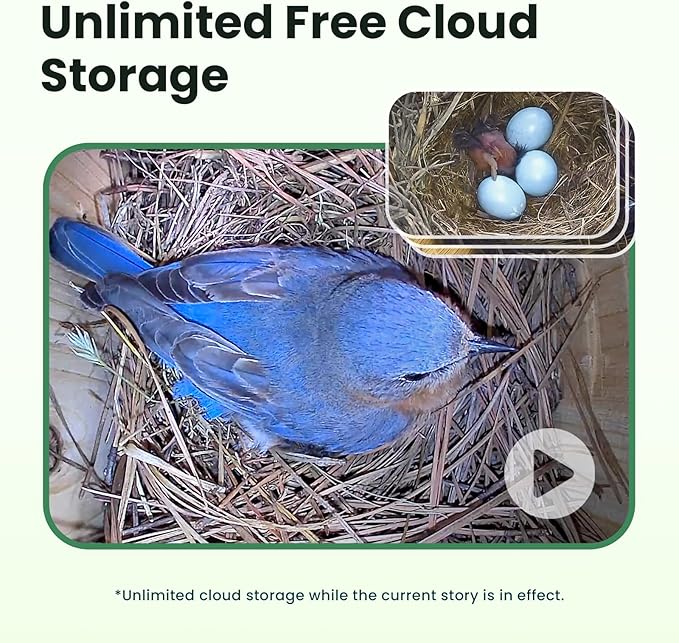 Birdfy Bird House with Camera Solar Powered with Iron Guard for Outside, AI Identify, 1080P HD & Night Vision for Bluebird Finch Swallow Wren Chickadee Nesting Watching, Auto Detect & Notify