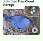 Birdfy Bird House with Camera Solar Powered with Iron Guard for Outside, AI Identify, 1080P HD & Night Vision for Bluebird Finch Swallow Wren Chickadee Nesting Watching, Auto Detect & Notify