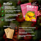 KVITER 50 Patty Pan Yellow Squash Seeds (Cucurbita pepo) – Bush Summer Squash Seed Packets, Scallop Yellow For Outdoor Garden – Non GMO Heirloom Vegetable Seeds For Planting in Home Garden Raised beds