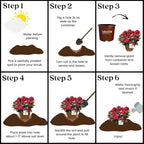 2 Gallon Southern Living Plant Collection Hydrangea Heart Throb Shrub