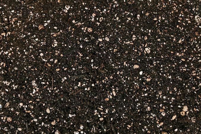 Mother Earth Groundswell Performance Soil, All-Purpose Potting Soil for Plants, High-Aeration Formula, 1.5 cu. ft.