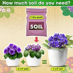 DUSPRO Recycle Premium 4-in-1 African Violet Potting Soil African Violet Soil Blend with Perlite, Coco Coir, Pumice, Pine Bark for Optimal Moisture Retention & Drainage 4QT