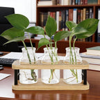 THYGIFTREE Plant Propagation Station with Wooden Stand, Propagation Vases Glass Planters for Indoor Plants Hydroponic Propagating Jars Home Office Decor, Plant Lover Gifts