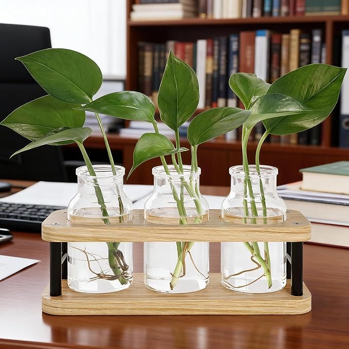 THYGIFTREE Plant Propagation Station with Wooden Stand, Propagation Vases Glass Planters for Indoor Plants Hydroponic Propagating Jars Home Office Decor, Plant Lover Gifts