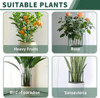 10 Pack Peony Cages and Supports, 10" (W) x 24"(H) Plant Support, Heavy-Duty Metal Plant Support Stakes, Plant Stakes for Outdoor & Indoor Plants, Perfect for Flowers and Vegetable
