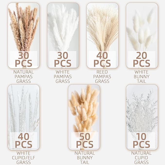 220PCS Natural Dried Pampas Grass Boho Home Decor Bouquet Phragmites Dried Flowers Bouquet for Wedding Floral Arrangements Home Decorations (220PCS)