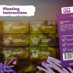 KVITER 750 Dandelion Seeds for Planting (Taraxacum officinale)– Dandelion Greens Flower Seed Starting – Edible Plants, Herb Grower, Medicinal Herbs Seeds Outdoor & Indoor Herb Garden, Containers