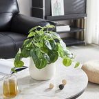 365 Blooming Decor Artificial Pilea Plant – Luxury Potted Money Plant in White Textured Pot with Real Pebbles, Premium Soft Plastic, Pet-Friendly, Realistic Look and Touch, No Assembly