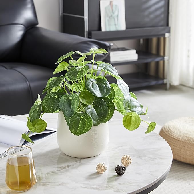 365 Blooming Decor Artificial Pilea Plant – Luxury Potted Money Plant in White Textured Pot with Real Pebbles, Premium Soft Plastic, Pet-Friendly, Realistic Look and Touch, No Assembly