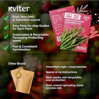 KVITER 100 Mary Washington Asparagus Seeds (Asparagus officinalis) – Heirloom Non GMO Asparagas Seed Packets Rust Resistant Perennial – Aspergus Vegetable Seeds for Planting Outdoors, Home Garden