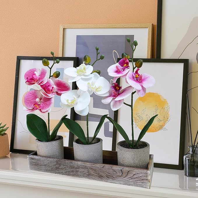 Winlyn Set of 3 Small Artificial Orchid Potted Plants Arrangement with Rustic Wood Planter Box Real Touch Faux Phalaenopsis Moth Orchid Flowers in Pots for Home Office Desk Shelf Table Centerpiece