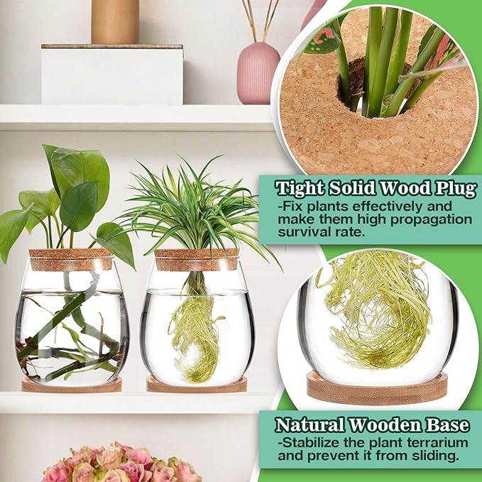 Biggun Plants Propagation Station - 2Pcs Desktop Plant Terrarium Glass Hydroponic Vases, Water Plant Jars, Gardening Gifts for Women Mom Plant Lovers (Water Drop Shape, Separated Tray Style)