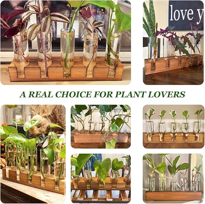 Plant Propagation Station, Plant Terrarium with Wooden Stand, Plants Pots for Hydroponics, Small Birthday Gardening Gifts for Women Mom Plants Lovers Unique - 5 Glass Test Tubes Vases
