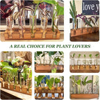 Plant Propagation Station, Plant Terrarium with Wooden Stand, Plants Pots for Hydroponics, Small Birthday Gardening Gifts for Women Mom Plants Lovers Unique - 5 Glass Test Tubes Vases