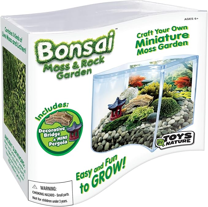 Toys By Nature Bonsai Moss & Rock Garden, Mini Wave Terrarium Kit with Real Plant, Beginner-Friendly Terrariums and Live Indoor Plants Decor