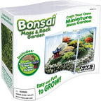 Toys By Nature Bonsai Moss & Rock Garden, Mini Wave Terrarium Kit with Real Plant, Beginner-Friendly Terrariums and Live Indoor Plants Decor