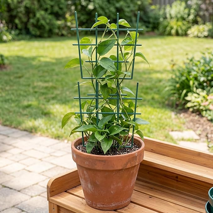 12inch Small Plant Trellis for Climbing Plants Indoor, 5Pcs Plastic Stackable Mini Garden Lattice for Potted Vines, Hoya, Pothos, Plastic Superimposed Support Stakes for Flower Vegetable (Green)