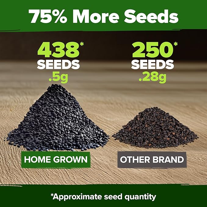 HOME GROWN Thai Basil Seeds Pack - 438 High Germination Heirloom Herb Seeds for Planting,Ideal for Growing Fresh Basil Planting Indoor or Outdoor(Ocimum basilicum VAR.thyrsiflora)