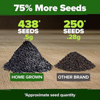 HOME GROWN Thai Basil Seeds Pack - 438 High Germination Heirloom Herb Seeds for Planting,Ideal for Growing Fresh Basil Planting Indoor or Outdoor(Ocimum basilicum VAR.thyrsiflora)