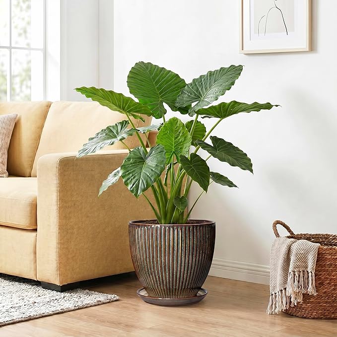 Ceramic Pots for Plants, 10 Inch Planters for Indoor Plants, Decorative Planter with Drainage Hole and Saucer, Round Indoor Plant Pots, Modern Planter, House Decor, Women Men Gifts, Retro Brown
