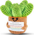 JELUTAR Crochet Positive Succulent Plant Thank You Gifts for Birthday Easter Mother's Day, Emotional Uplifting Gifts for Women Men Mom Dad Friends Wife Coworkers Cute Funny Decors (Cute Succulent)