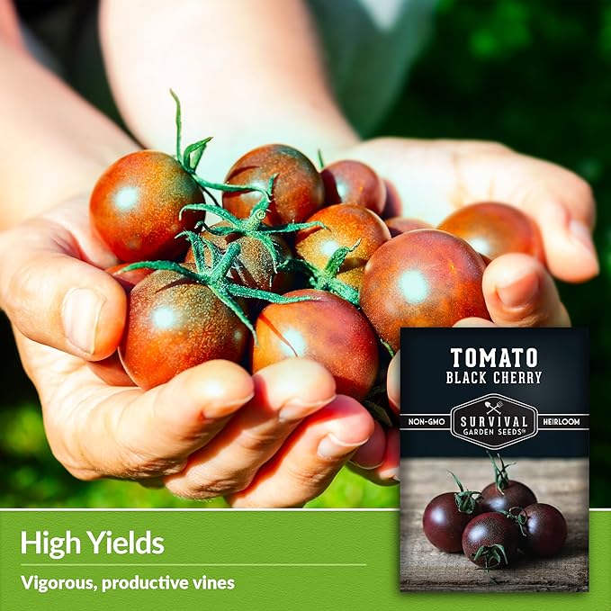 Black Cherry Tomato Seeds for Planting – Indeterminate Heirloom Non-GMO Variety – Grow High Yields of Deep Purple-Black Cherry Tomatoes with Sweet Rich Flavor – Survival Garden Seeds (3 Packs)