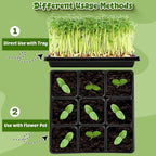NNG 3.5 inch 50 Pcs Black Square Nursery Pots with 5 Pcs Plastic Seed Starting Trays,Plant Propagation Starter Kit Square Seed Starting Pots with Drain Holes