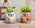 Saysmile Unique Owl Plant Pots Indoor, Cute Small Succulent Pots with Drainage Hole, Watering Owl Planters for Indoor Outdoor Plants, Resin Flower Pot for String of Pearls, Gift Ideas for Mother