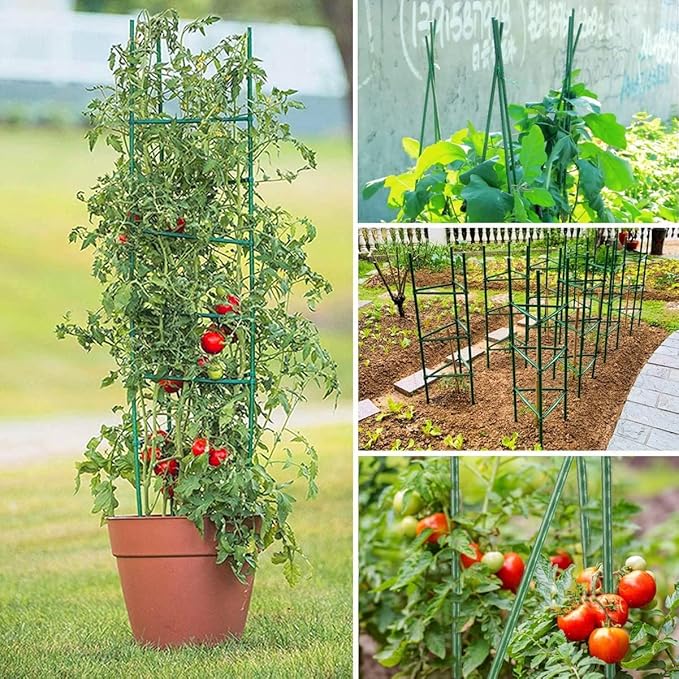 4Pack Tomato Cage for Garden Plant Support, Up to 48inch Garden Stakes Tomato Cage, Tomato Trellis for Potted Plants, Tomato Cages Plant Stakes Trellis for Climbing Plants Vegetables Flowers