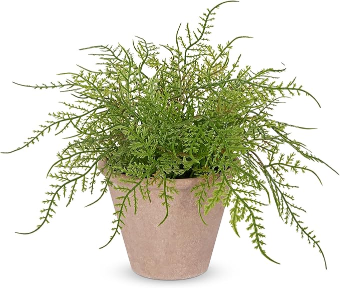 Artificial Fern Potted Plant, 9" Small Fake Plants in Pot, Faux Lace Fern Plant Greenery for Home Office Farmhouse Living Room Bathroom Kitchen Tabletop Desk Shelf Decoration