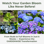 GARDENWISE Slow Release Hydrangea Fertilizer with Iron & Sulfur – Indoor & Outdoor Soil Acidifier for Miracle Growth (5 qt)