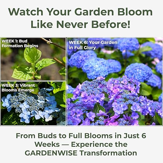 GARDENWISE Slow Release Hydrangea Fertilizer with Iron & Sulfur – Indoor & Outdoor Soil Acidifier for Miracle Growth (4 qt)