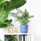 Gepege 8 Inch Plant Pot for Indoor Plants, Ceramic Planter with Drainage Holes and Saucers Large Flower Pot
