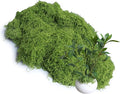 Light Green 8.8oz Artificial Floral Moss Fake Greenery Moss Faux Plant for DIY Crafts Fairy Garden Pot Filler Vase Greenery Decorating Project Indoor Model Making Walls Glass Decor Forlaoers