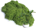 Light Green 8.8oz Artificial Floral Moss Fake Greenery Moss Faux Plant for DIY Crafts Fairy Garden Pot Filler Vase Greenery Decorating Project Indoor Model Making Walls Glass Decor Forlaoers