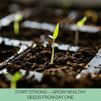 Seed Starter Trays, 144 Cells (24 Trays - 6 Cells Per Tray) + Plant Stakes