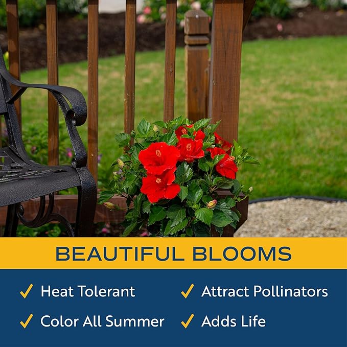 Costa Farms Premium Hibiscus Outdoor Flowering Plants 1 Gallon, Grower Pot, 16-Inches Tall, Red Flowers
