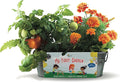 Buzzy Seeds My First Garden Windowsill Grow Kit, Tomato and Marigold Seeds, Indoor Gardening Starter Set for Beginners, Fun DIY Planting Project Gift, New Home Present