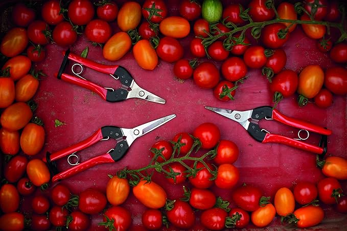FELCO FELCO322 Model 322 Snips, Red & Leather Holster (F 910) - Tool Pouch for Pruning Shears or Construction/Utility Tools 26 x 16 x 12 cm