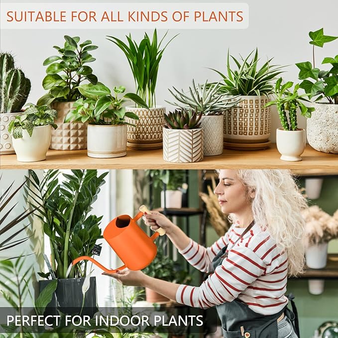 Watering Can Indoor Plants, 35oz Small Stainless Steel Metal Watering Can Modern Decorative Watering Pot with Long Spout for Indoor House Plant Bonsai Garden Flowers (Orange)