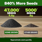 HOME GROWN 47000+ Moss Rose Seeds (Bulk Pack) Annual Flower for Ground Cover - Heirloom Non-GMO Portulaca Seeds for Planting Outdoors - Great for Low-Maintenance Gardens (Portulaca grandiflora)