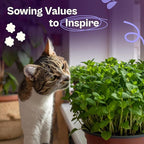 SVI 2500 Catnip Seeds (Nepeta cataria) – Catmint, Best Catnip for Cats Seed Packets, Heirloom Cat Nip Herb Seeds – Outdoor & Indoor Herb Garden, Containers, Herbs Beds